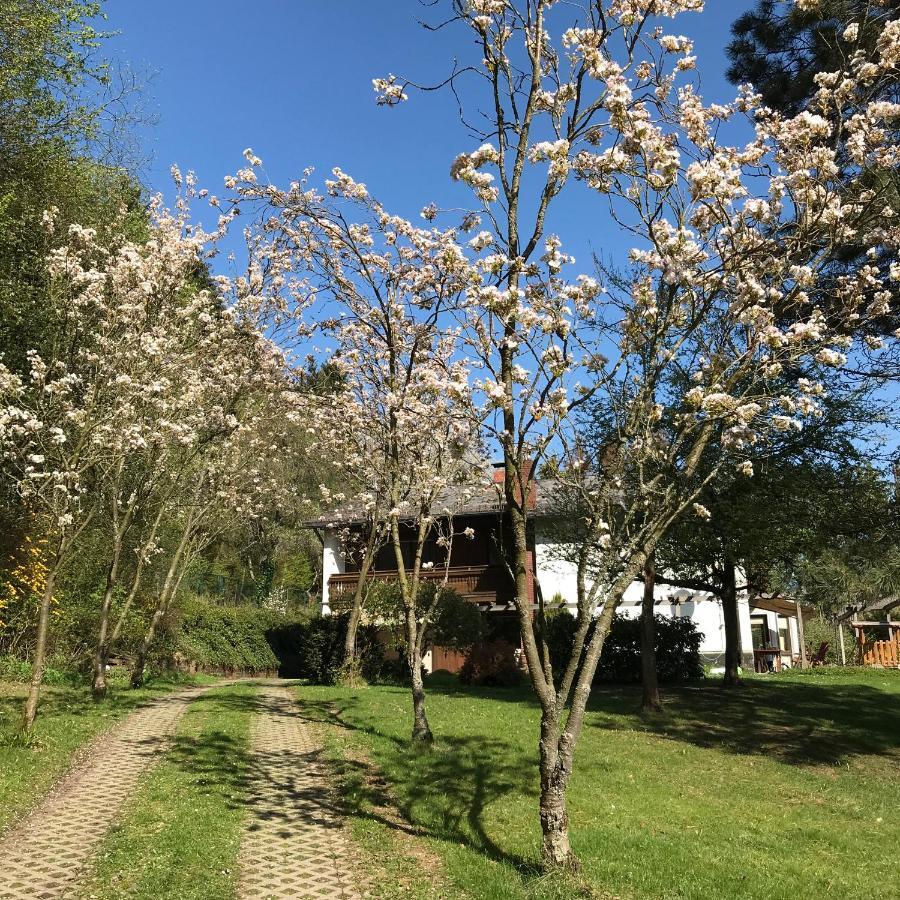 Ferienapartments Engeln Eifel Kempenich Экстерьер фото